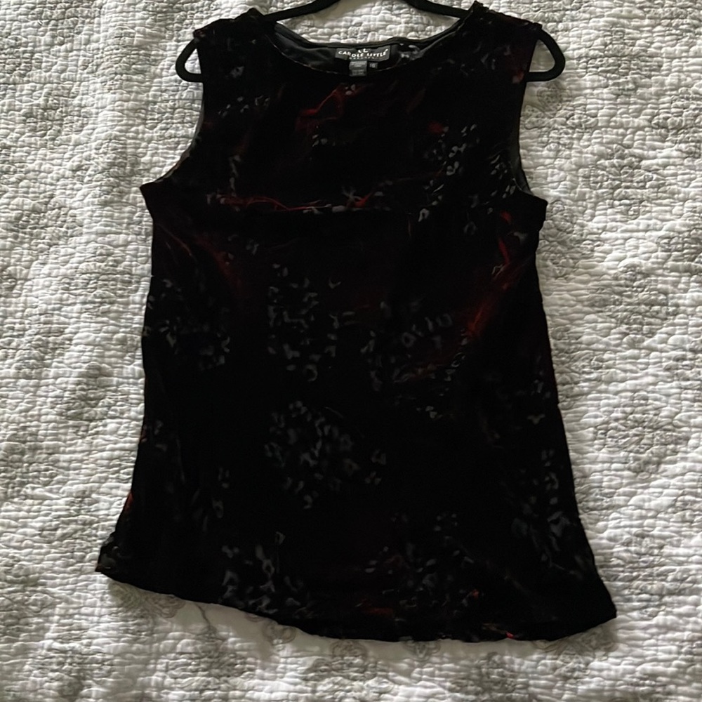 Beautiful velvet like top